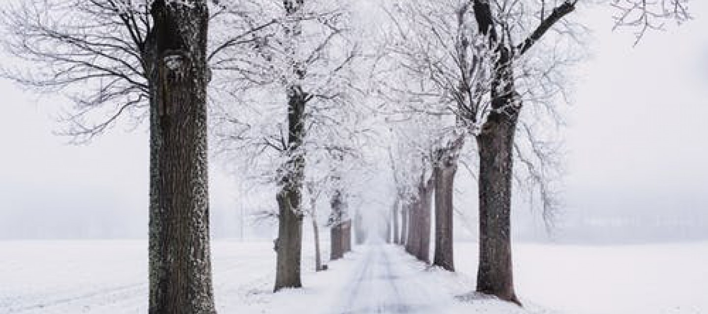 Hoe maken ze indoorsneeuw?