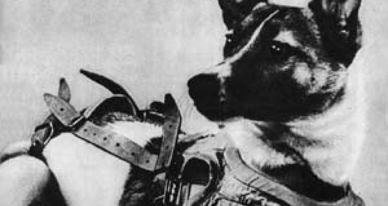 Welk dier was als eerste in de ruimte? | Willem Wever