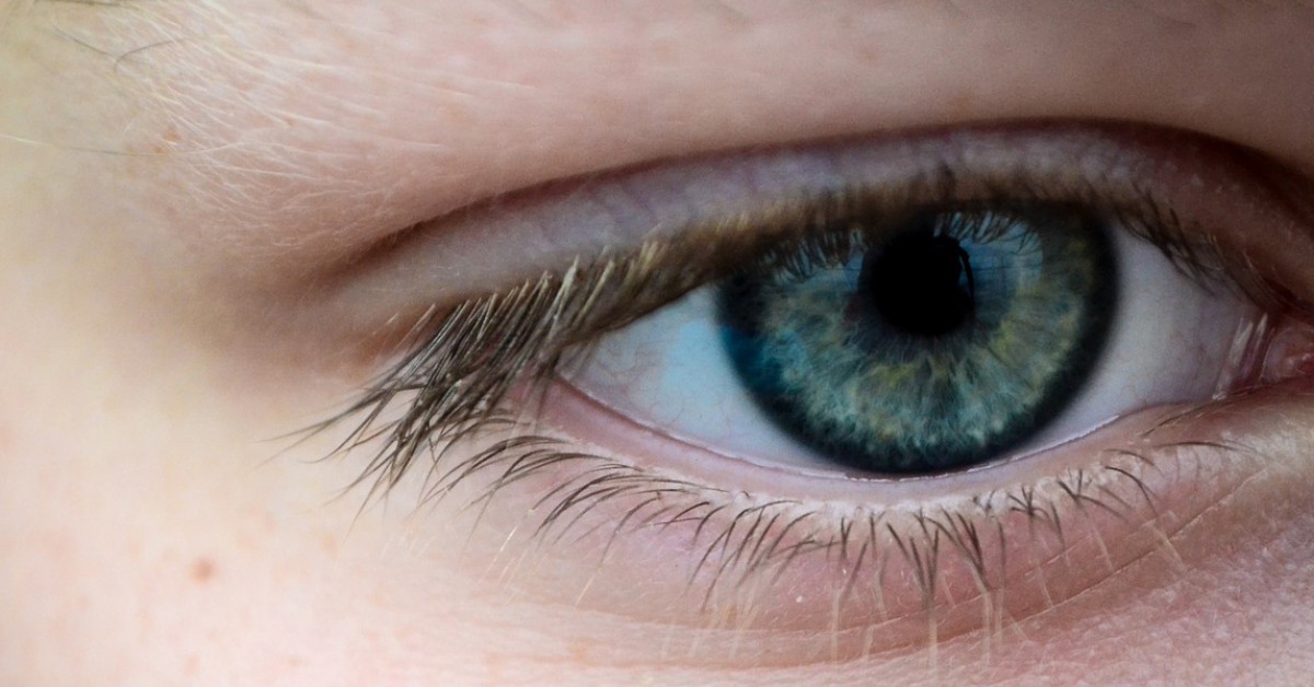 Hoe werkt de iris in je oog? | Willem Wever