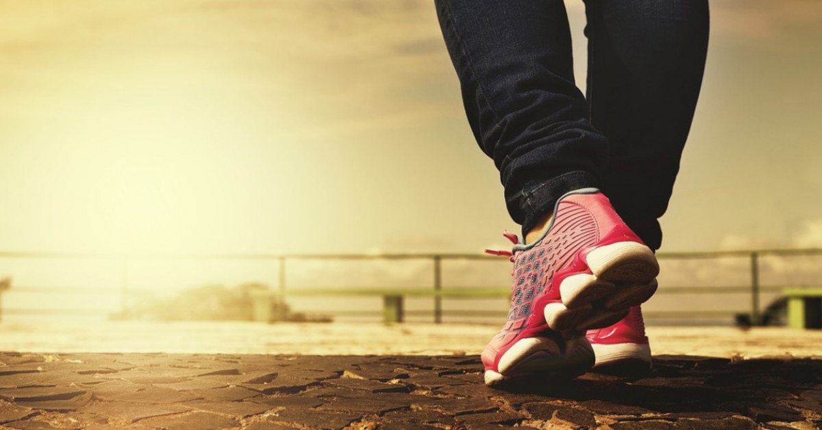 Wie heeft schoenen bedacht? | Willem Wever