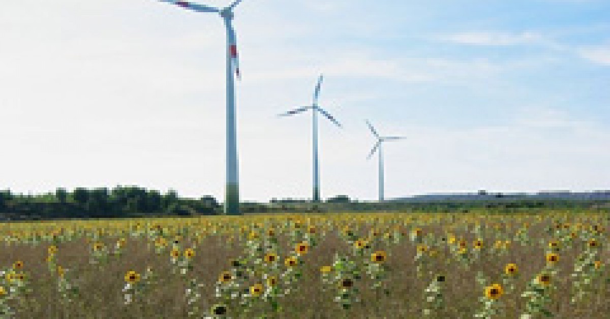 Aan hoeveel huizen geeft een windmolen energie? Willem Wever Aan hoeveel huizen geeft een windmolen energie? Willem Wever