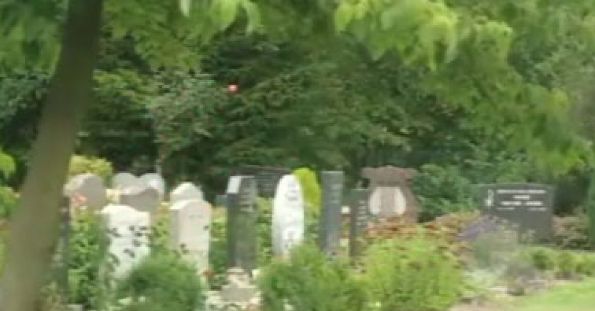 Wat gebeurt er met je lichaam als je dood gaat? Willem Wever Wat gebeurt er met je lichaam als je dood gaat? Willem Wever