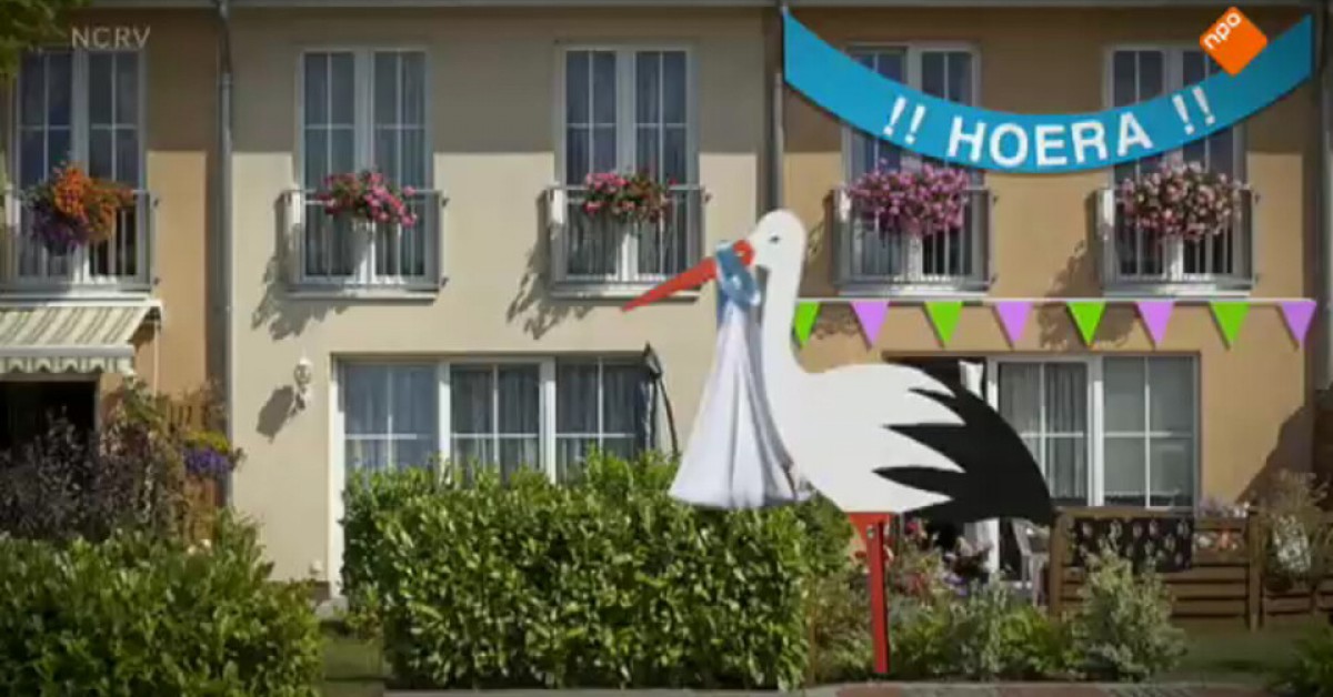 Waarom zetten we een ooievaar in de tuin als er een kind is geboren